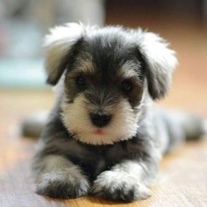 Meet your Posher, Deborah